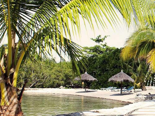 Whispering Palms Island Resort Bacolod Exterior foto
